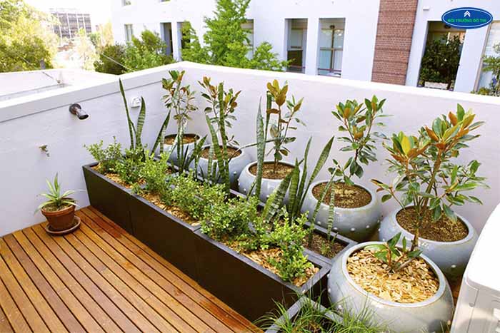 Cách chống thấm sân thượng để trồng cây